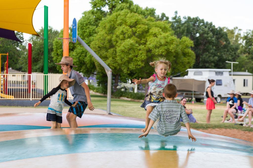 Nrma Dubbo Holiday Park Экстерьер фото