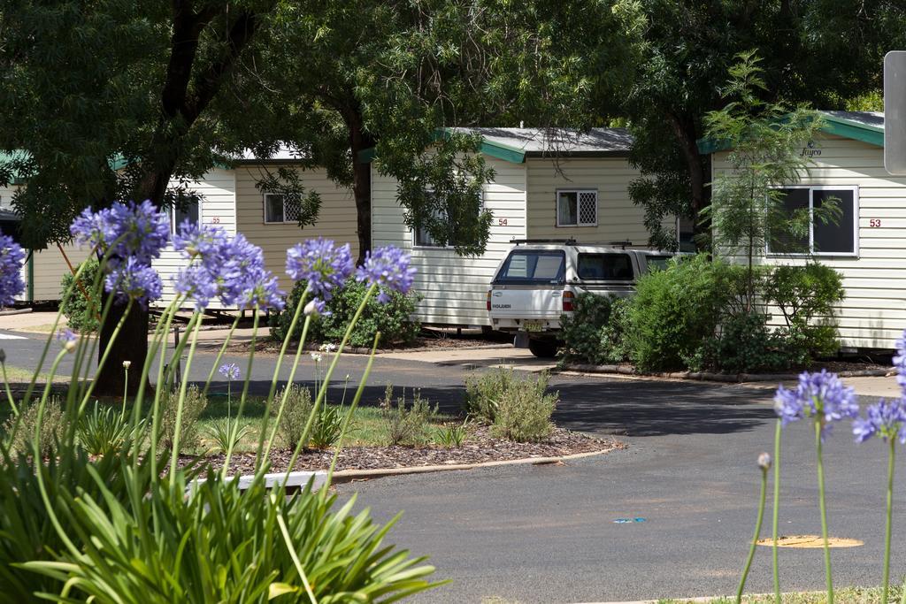 Nrma Dubbo Holiday Park Номер фото